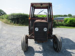 IMG_8134
